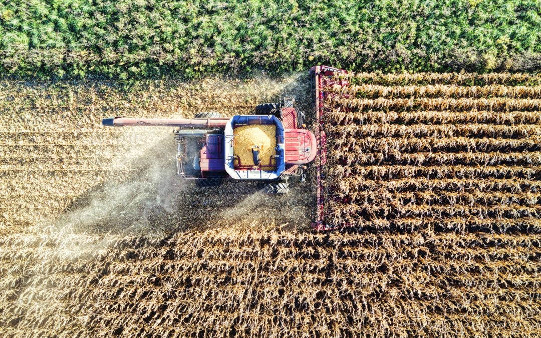 Supply Chain del futuro: cómo una cadena de suministro robusta habilita el crecimiento en agroindustria